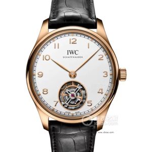 IWC Portuguese series IW504501 men's 42MM Watch
